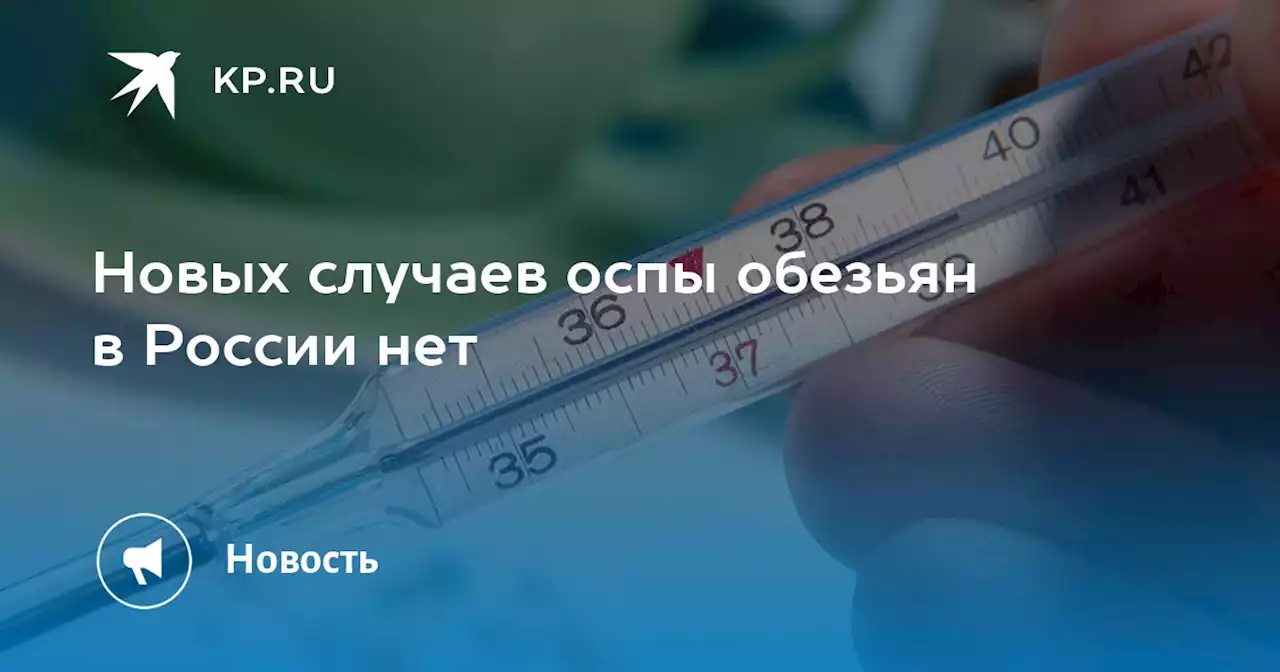 Новых случаев оспы обезьян в России нет