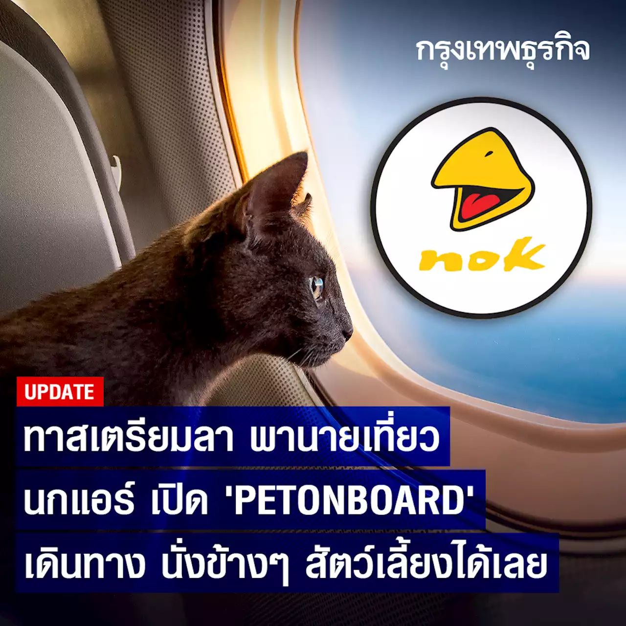 เจาะเงื่อนไข ‘PETONBOARD’ ส.ค.นี้ ทาสเตรียมลาพานายเที่ยว