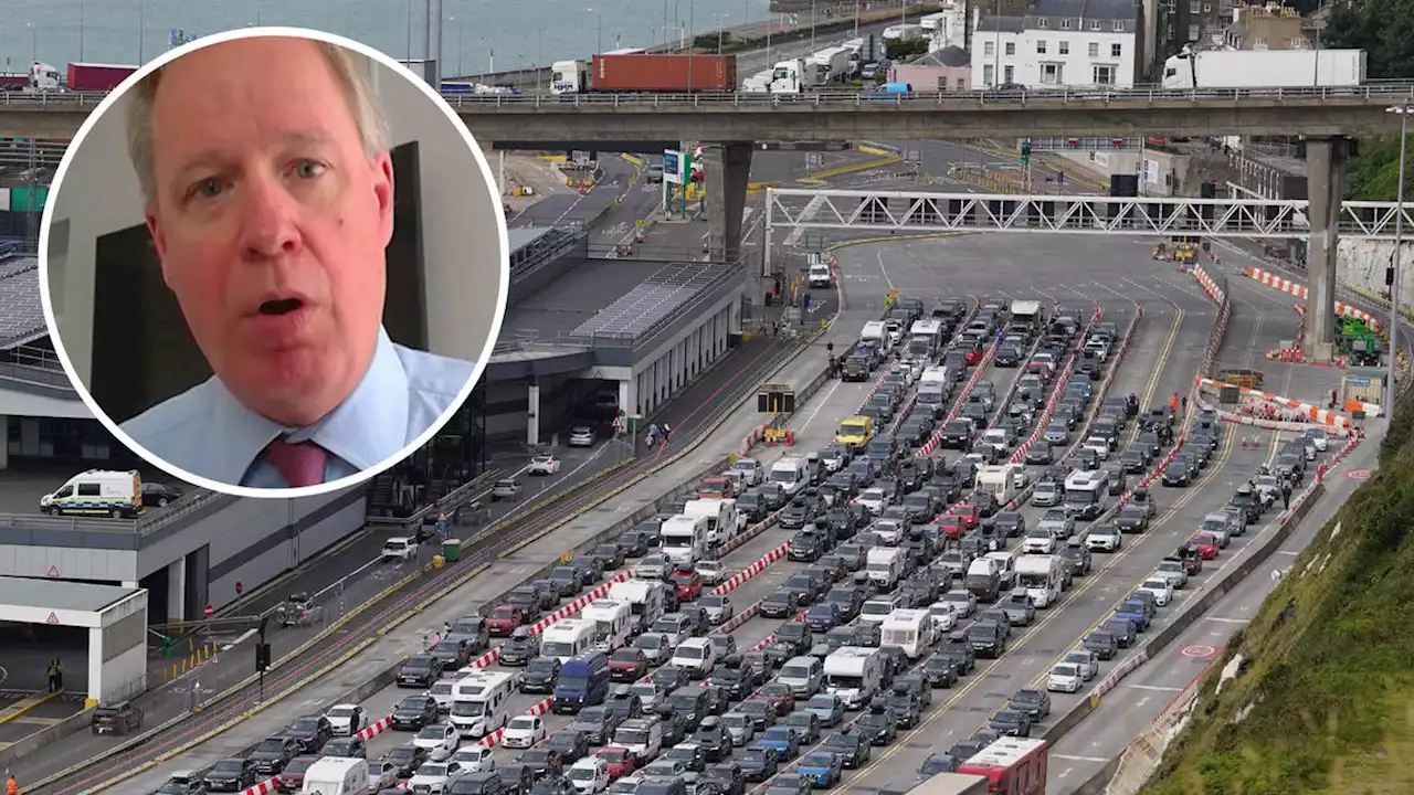 Dover port boss blames Brexit for delays as he explains passport 'checks and stamps'