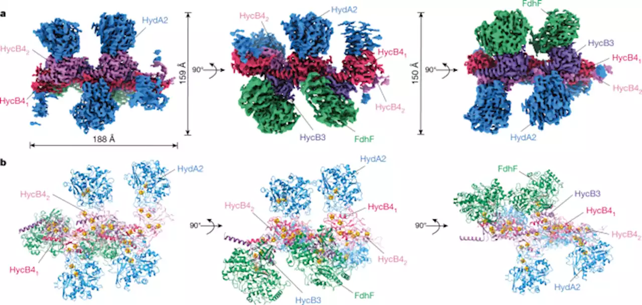 Membrane-anchored HDCR nanowires drive hydrogen-powered CO2 fixation - Nature