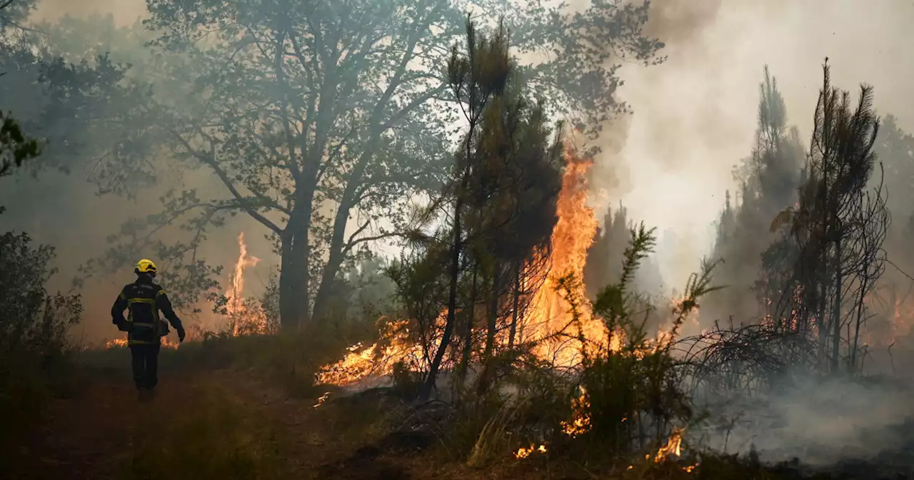 Thousands flee homes as wildfires rage across Europe