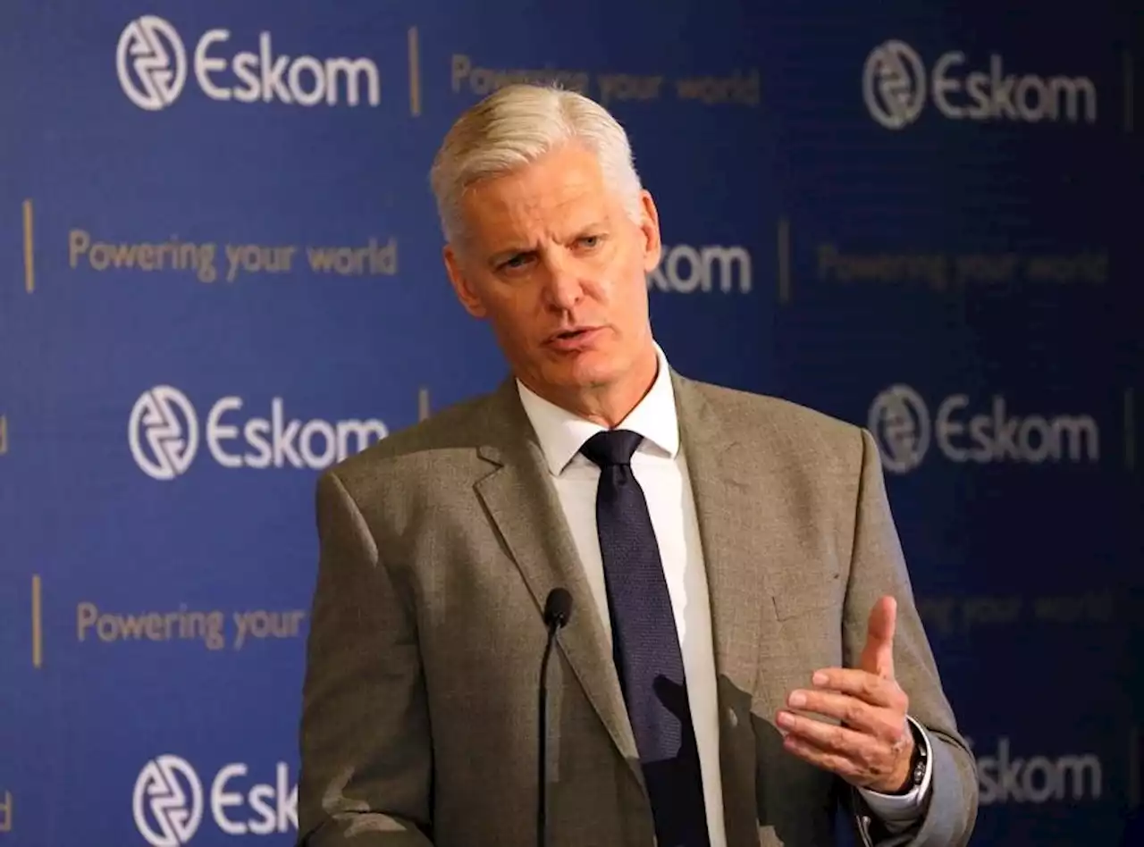 De Ruyter's skills aren't the problem in SA's energy crisis, say analysts | Fin24