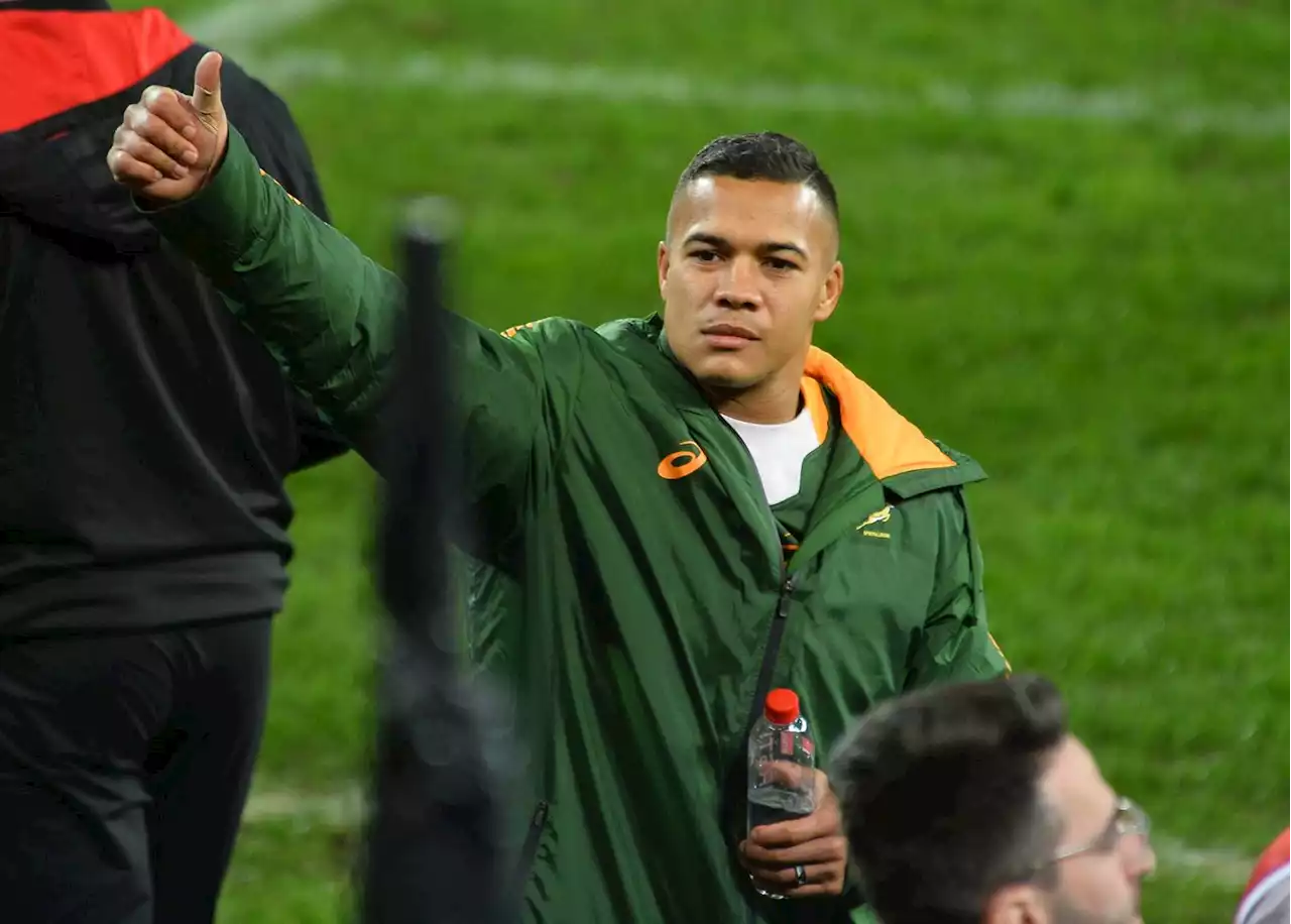 Springbok Cheslin Kolbe ruled out until September with broken jaw | Sport