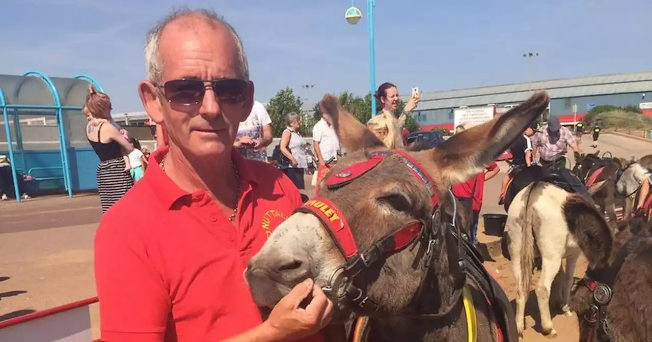 Donkey rides owner says heat has made him think about quitting