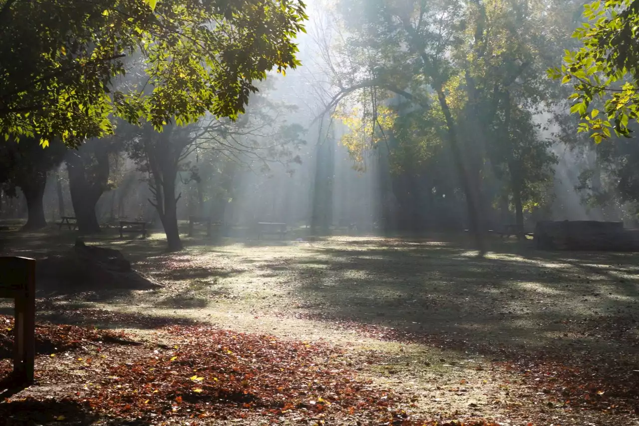 Escapada natural: 4 bosques a minutos de Buenos Aires - El Planeta Urbano | EPU | Tendencias y Lifestyle