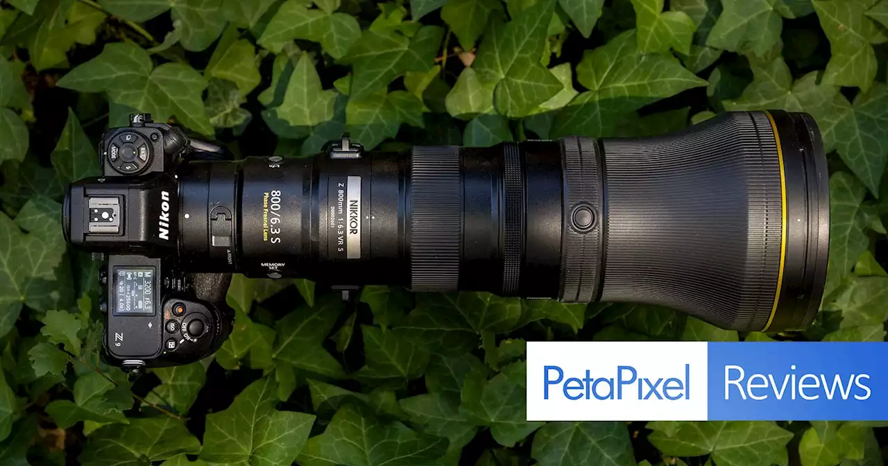 Nikon Z 800mm f/6.3 VR S Review: In a Class of Its Own