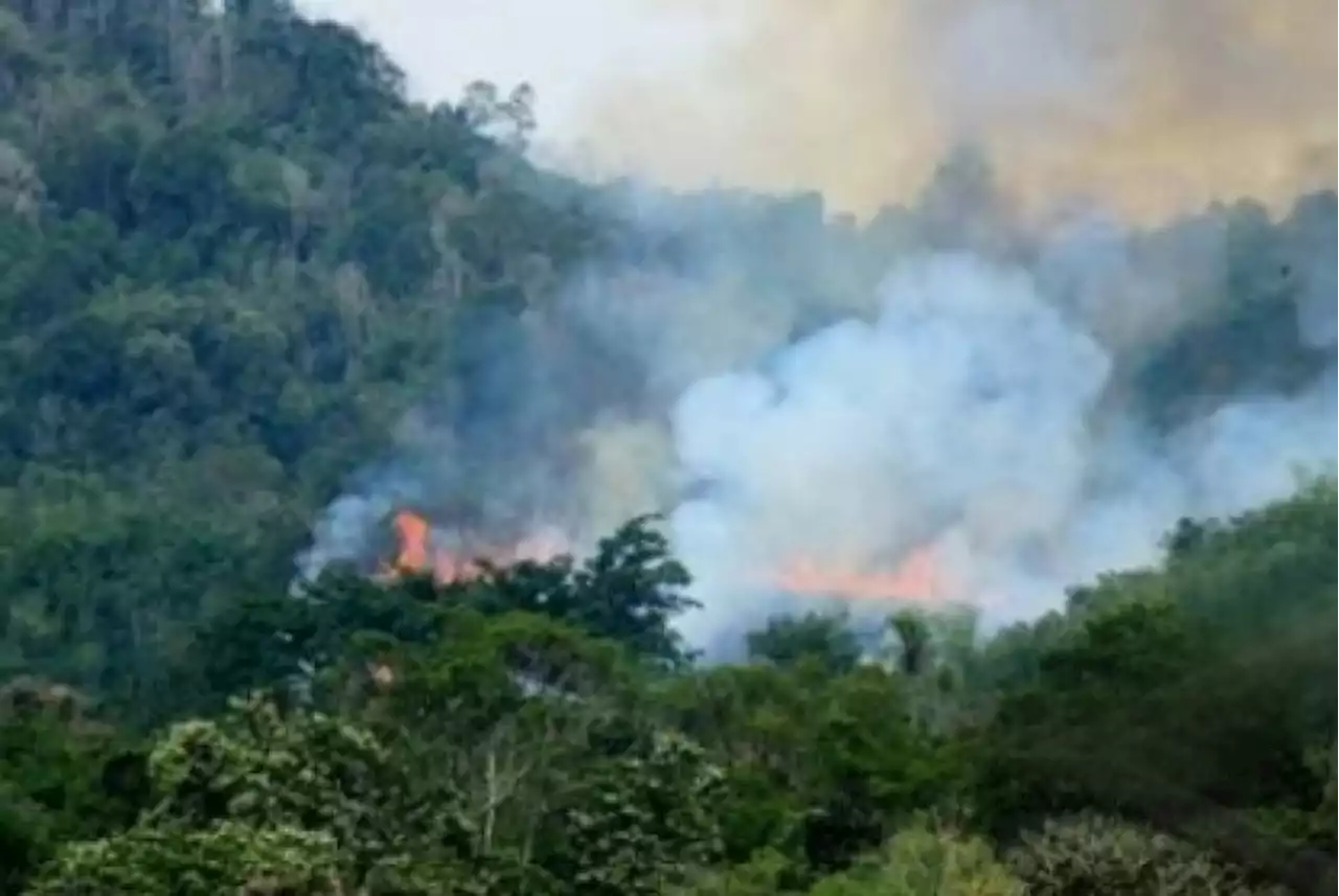 BMKG Laporkan 15 Titik Panas Baru ke Pemprov Kalimantan Timur |Republika Online