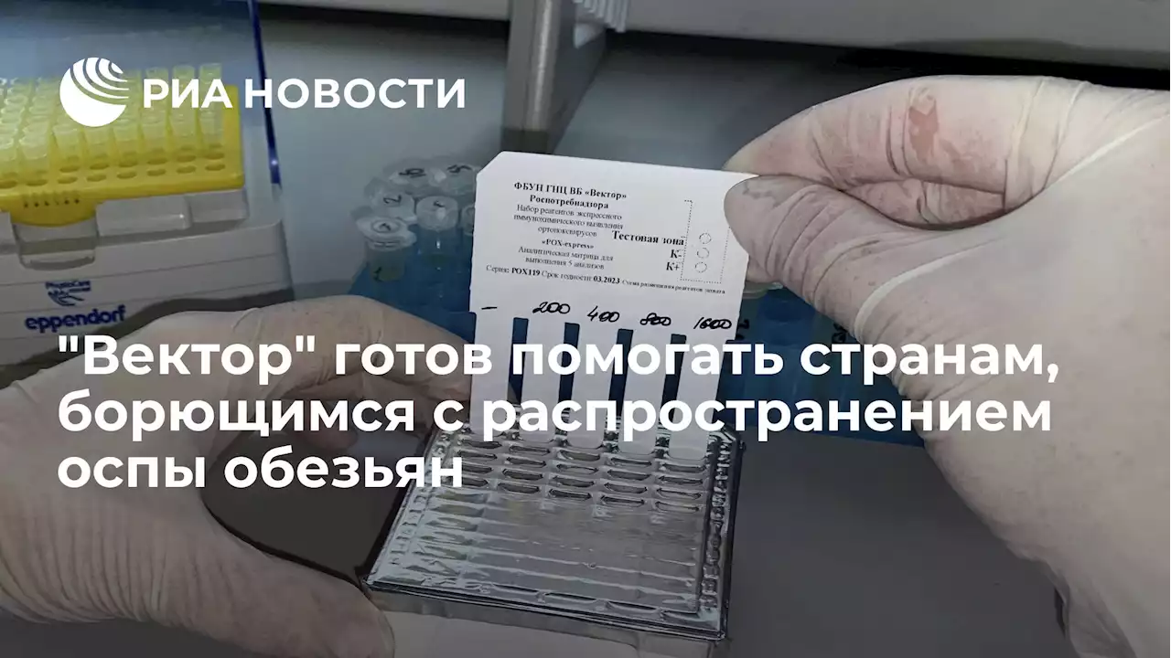 Вектор готов помогать странам, борющимся с распространением оспы обезьян - РИА Новости, 23.07.2022