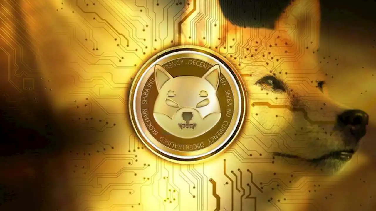 Vitalik Buterin กล่าวขอบคุณชุมชน Shiba Inu ที่ช่วยสานฝันของเขาให้เป็นจริง