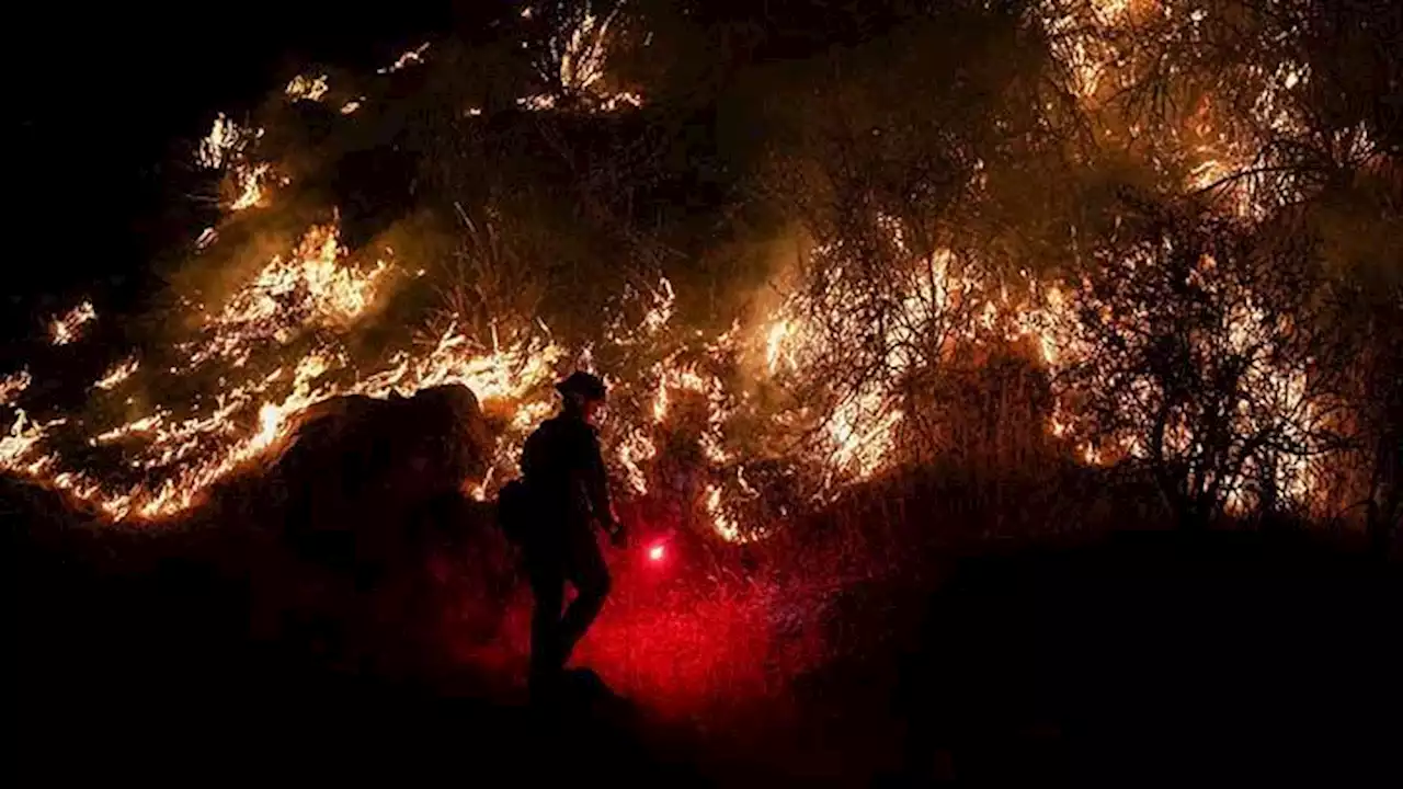 Potret Dahsyatnya Kebakaran Hutan di California