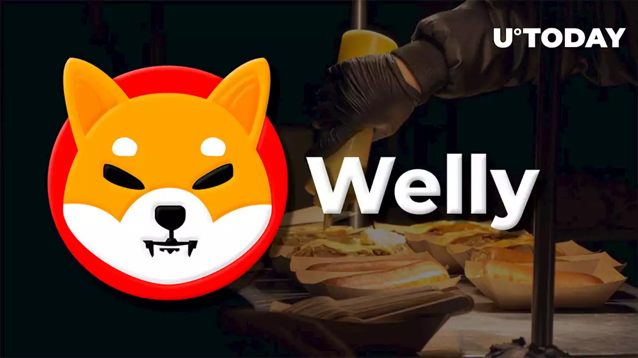 Shiba Inu's Welly Transfers First Set of Community Rewards in ETH to Wallet