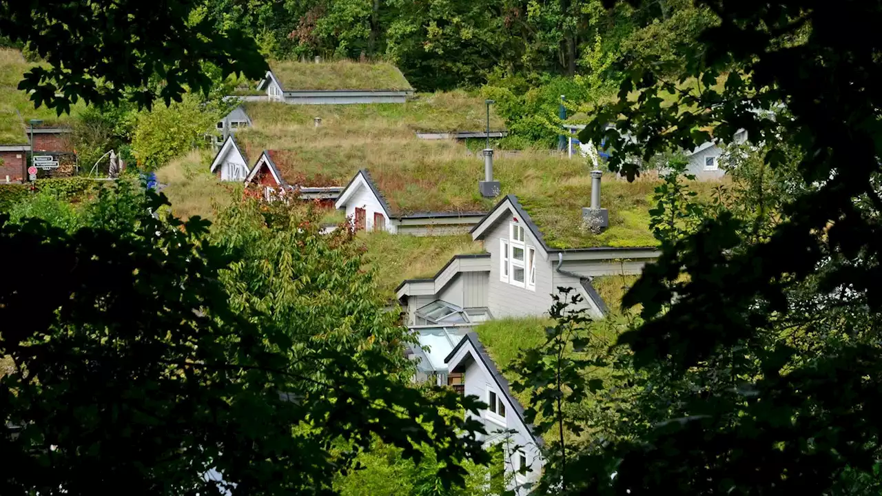 Klimawandel und Hautkrebs: Warum Städte mehr Schatten brauchen