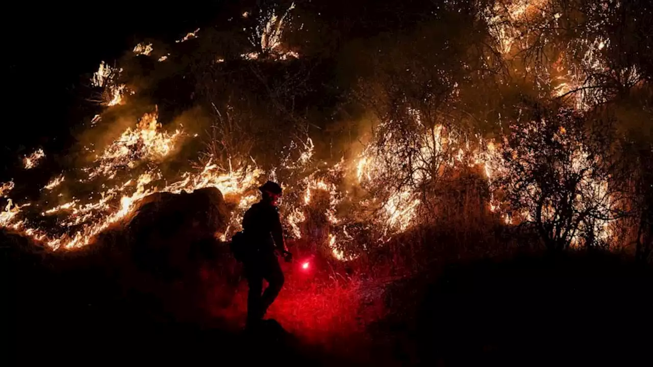 Fast-moving Oak Fire explodes in size as it burns near Yosemite National Park