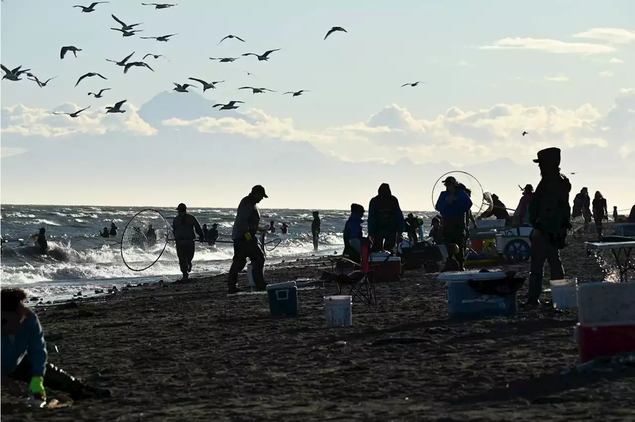 Photos: A day at the Kenai River dipnet fishery