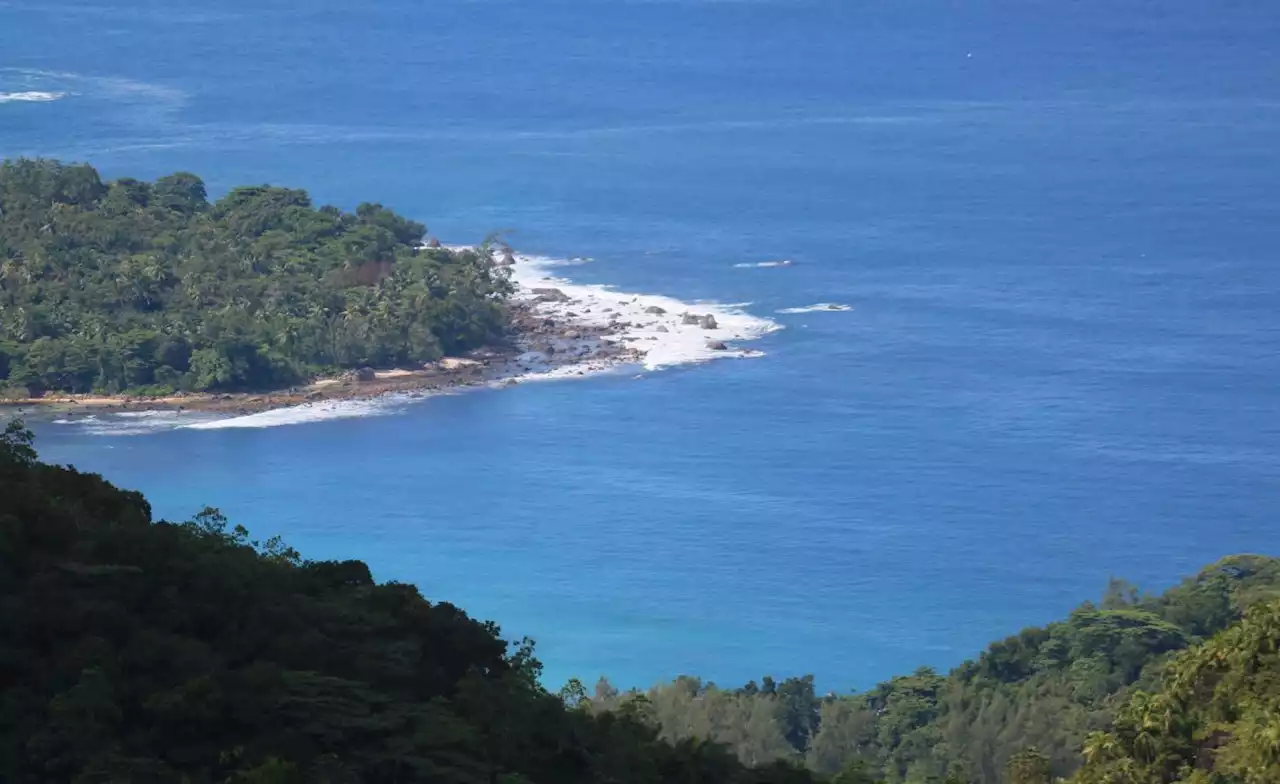 Seychelles: Predators and Climate Change Threaten Seychelles' White-Tailed Tropicbird