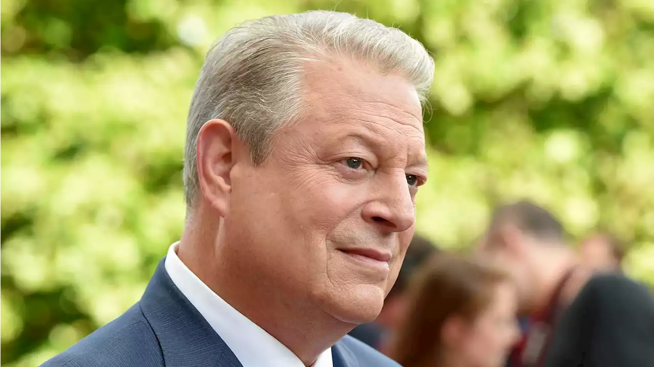 Al Gore: U.S. must pay attention to 'democracy crisis' to solve climate crisis