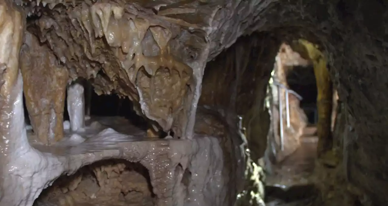 100 Jahre Teufelshöhle in Pottenstein: Besucher sind fasziniert