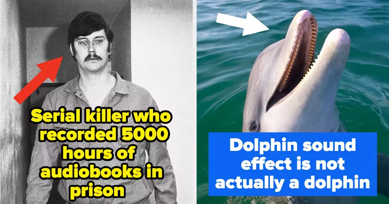 People Are Sharing Little-Known Facts, And They're So Fascinating