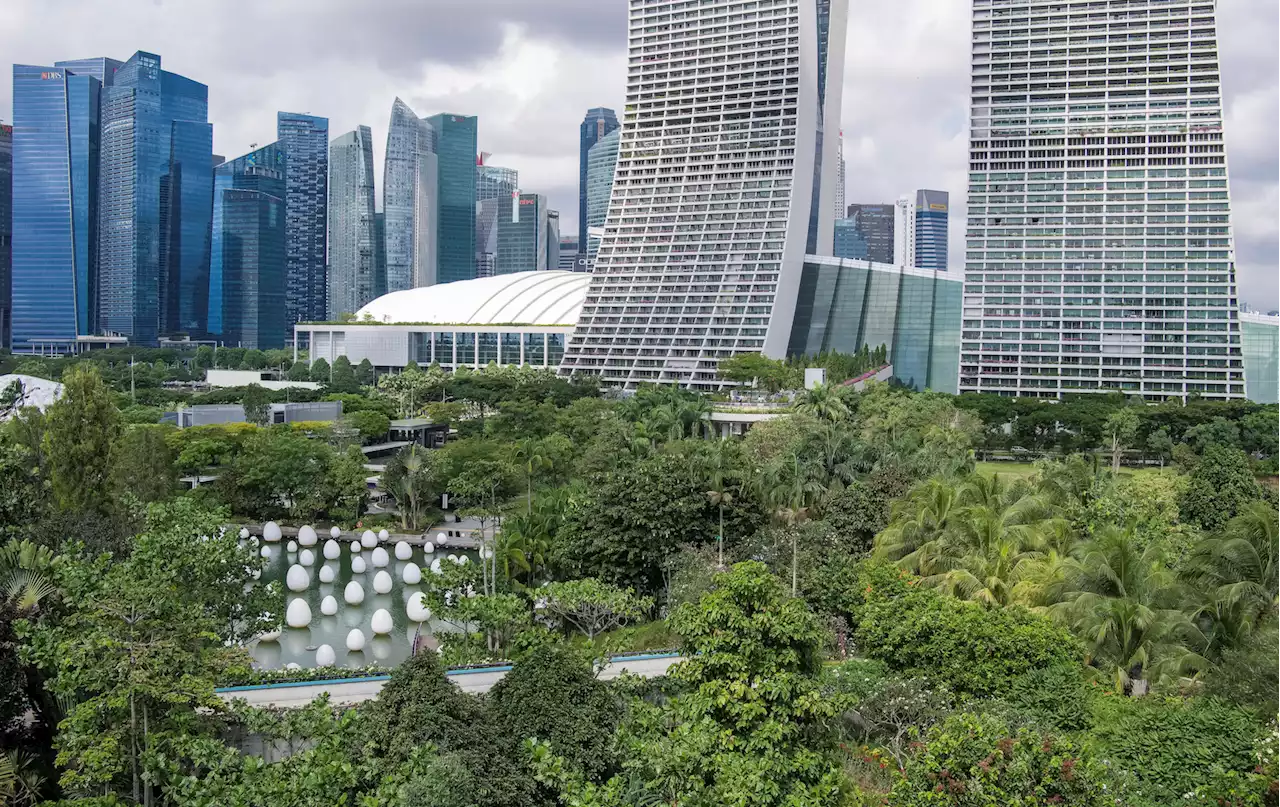 Hitze - Singapur hat die schattigsten Strassen