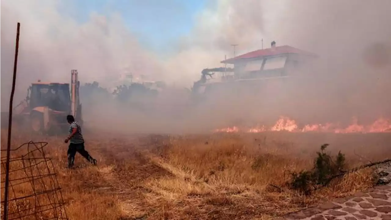 Kebakaran Hutan Yunani 'Menggila', Resor Dilalap Habis!