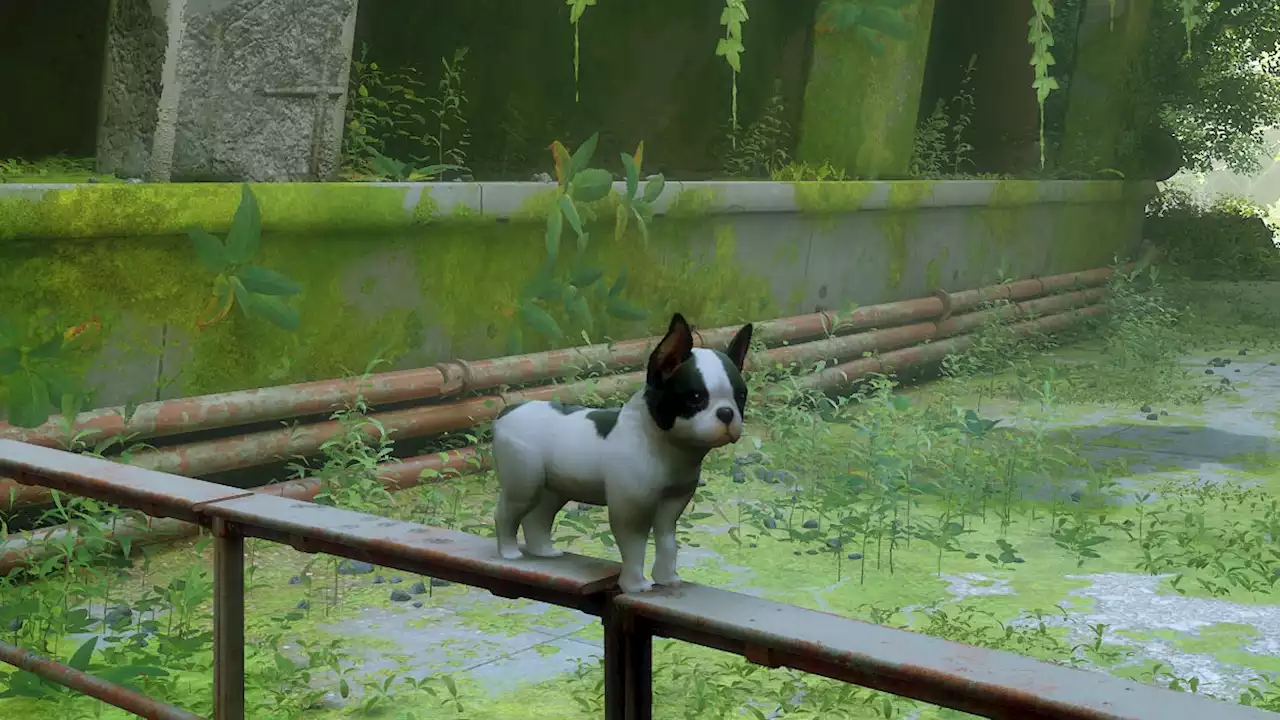 Stray Mod Allows Players To Replace Cat With a Dog