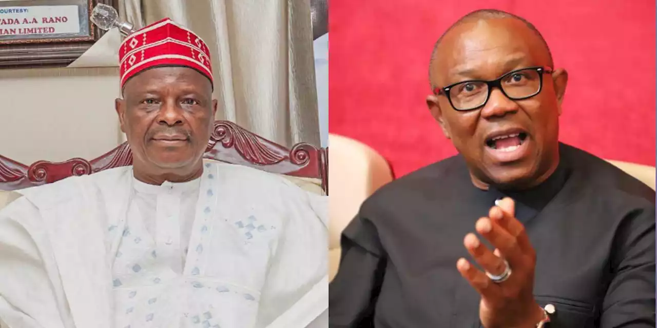 2023 presidency: Kwankwaso, Peter Obi told to publicly declare assets, reject vote-buying