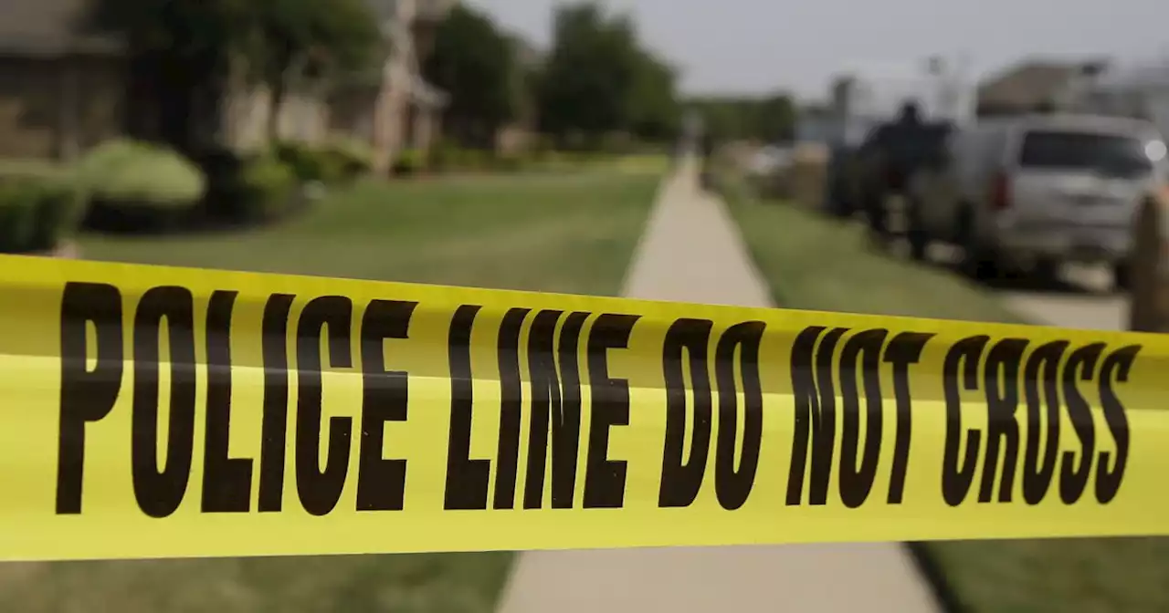 Man found dead in northwest Dallas drainage ditch, police say