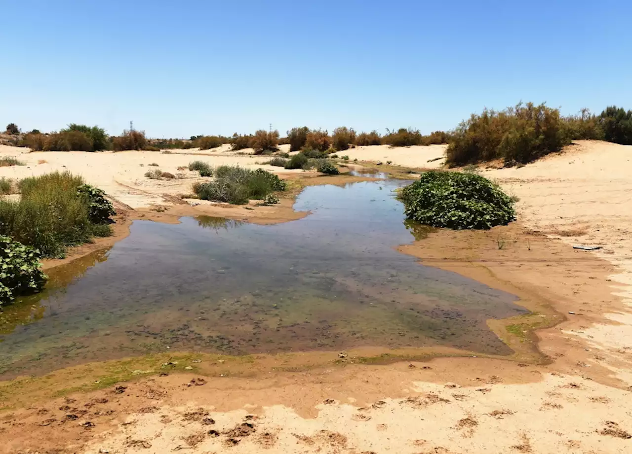 5 key facts about the rapidly drying Colorado River (a quick read)