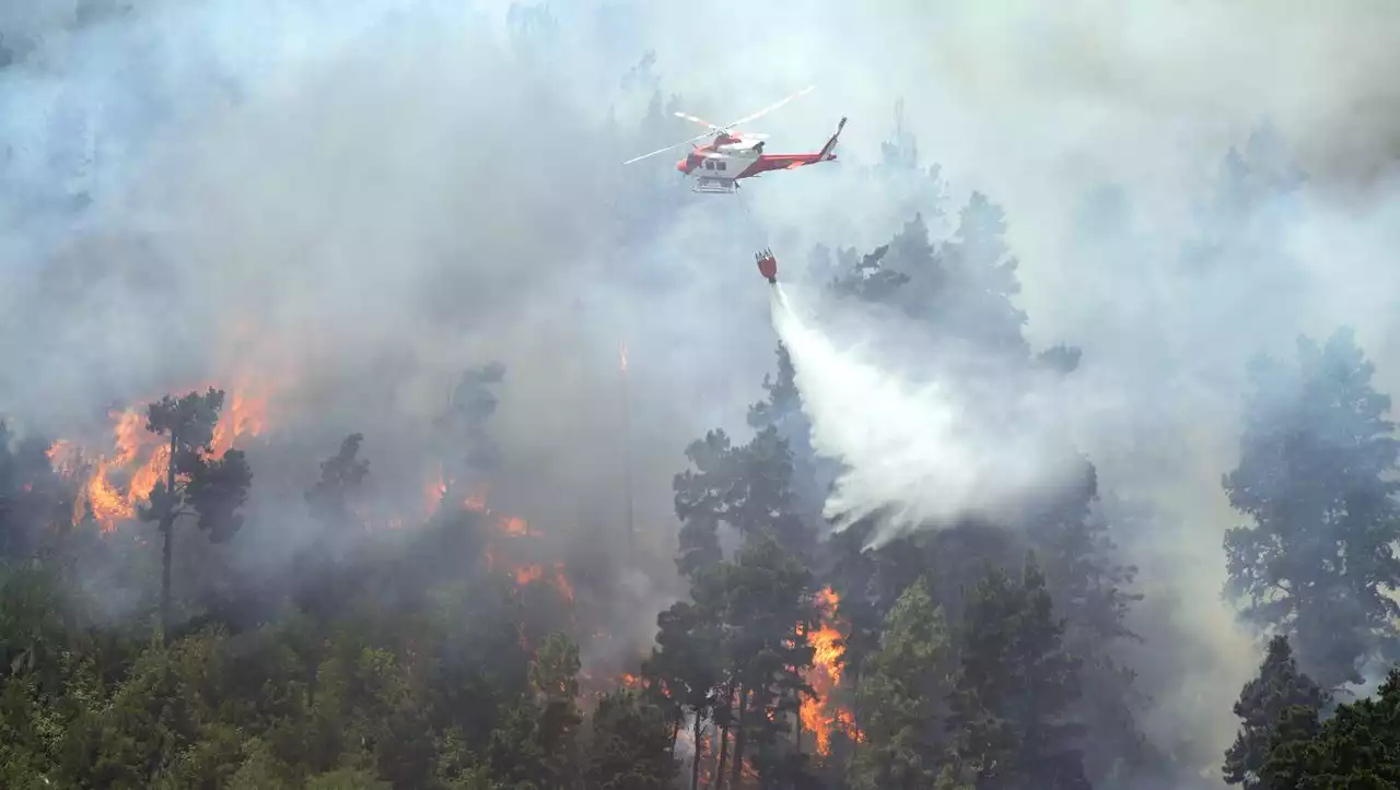 Feuer auf Teneriffa zerstört Tausende Hektar – auch in Griechenland und Frankreich wüten erneut Flammen