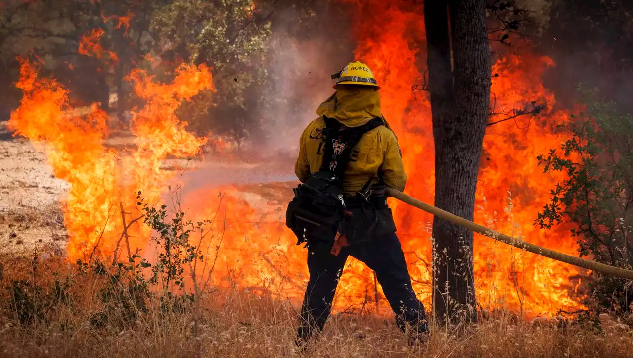 Feuer in Kalifornien: Extreme Brände wüten nahe Yosemite-Nationalpark