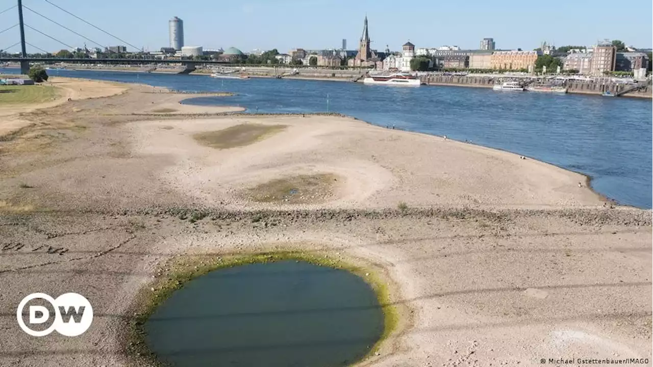 Hitzewelle: Niedrigwasser am Rhein bremst Wirtschaft | DW | 20.07.2022