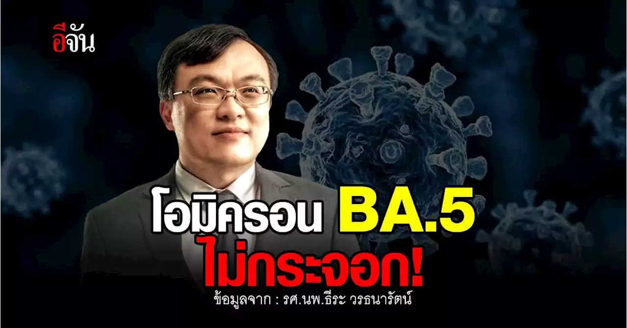 หมอธีระ ยกผลวิจัย โอมิครอน BA.5 ไม่กระจอก!