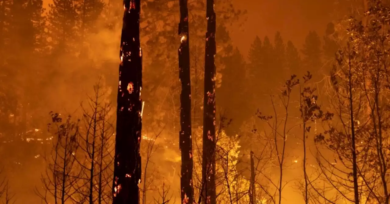 Thousands evacuated as California wildfire grows
