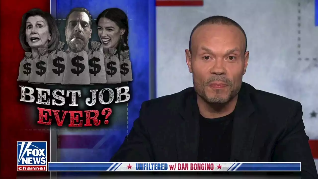 Dan Bongino: The Pelosis, Bidens and Obamas never have to worry about any 'real accountability'