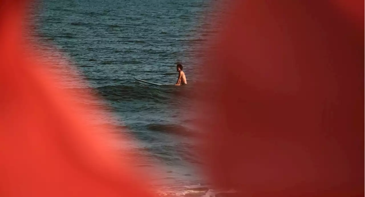 Rockaway Beach reopens for swimming after another shark scare