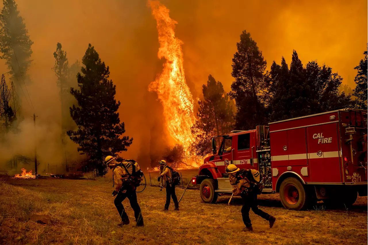 California Forest Fire Burns Out Of Control Near Yosemite