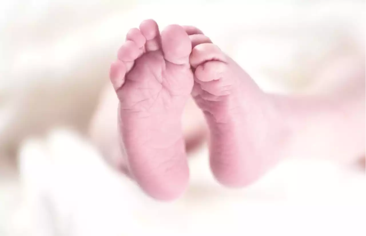 Letter to the Editor: Singapore should implement and subsidize new AI-based IVF embryo screening technologies for older women - The Independent Singapore News