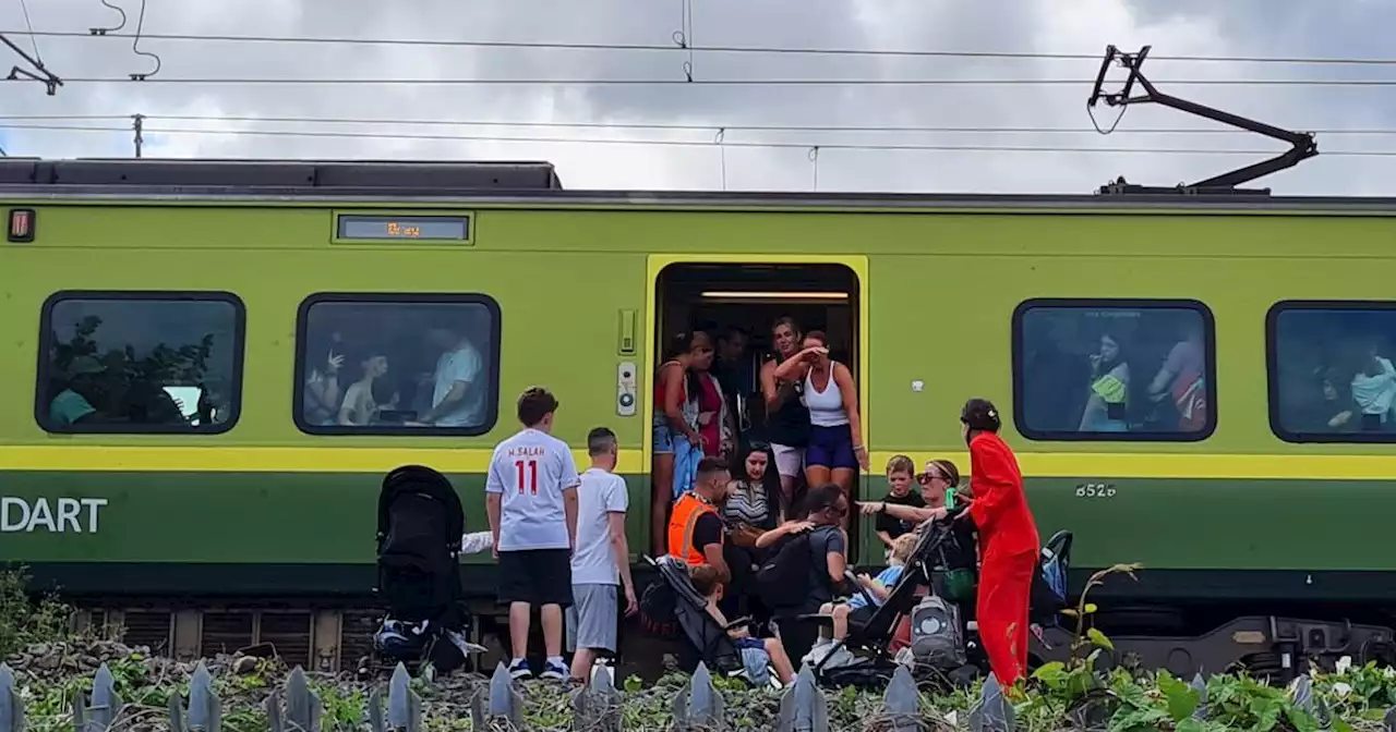 Passengers experience long delays on way to Bray Air Display after trains brought to a standstill