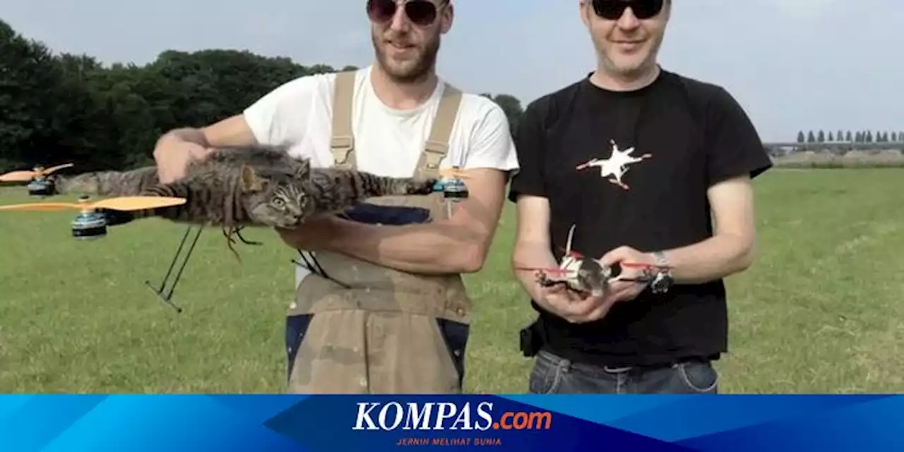 Ketika Kucing Peliharaan Mati dan Dijadikan Drone oleh Pemiliknya...