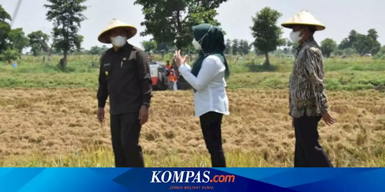 Wisata Edukasi Kalitengah, Embrio Desa Wisata Terintegrasi di Lamongan