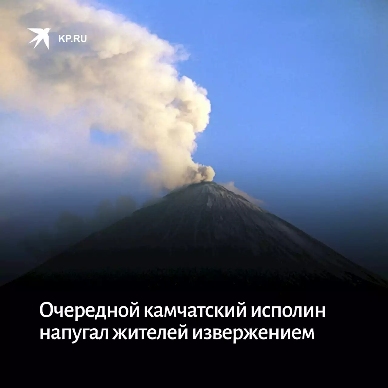 Вулкан Шивелуч на Камчатке: что известно о выбросе пепла, зафиксированного 24 июля 2022 года