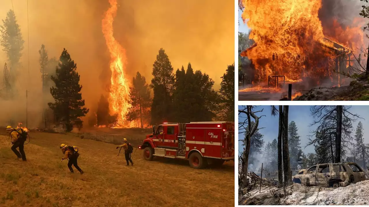 'Explosive' wildfire tears through homes and forests as thousands forced to flee in California