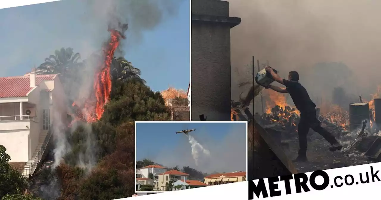 Tourists on Greek island ripped apart by wildfires told 'escape now'