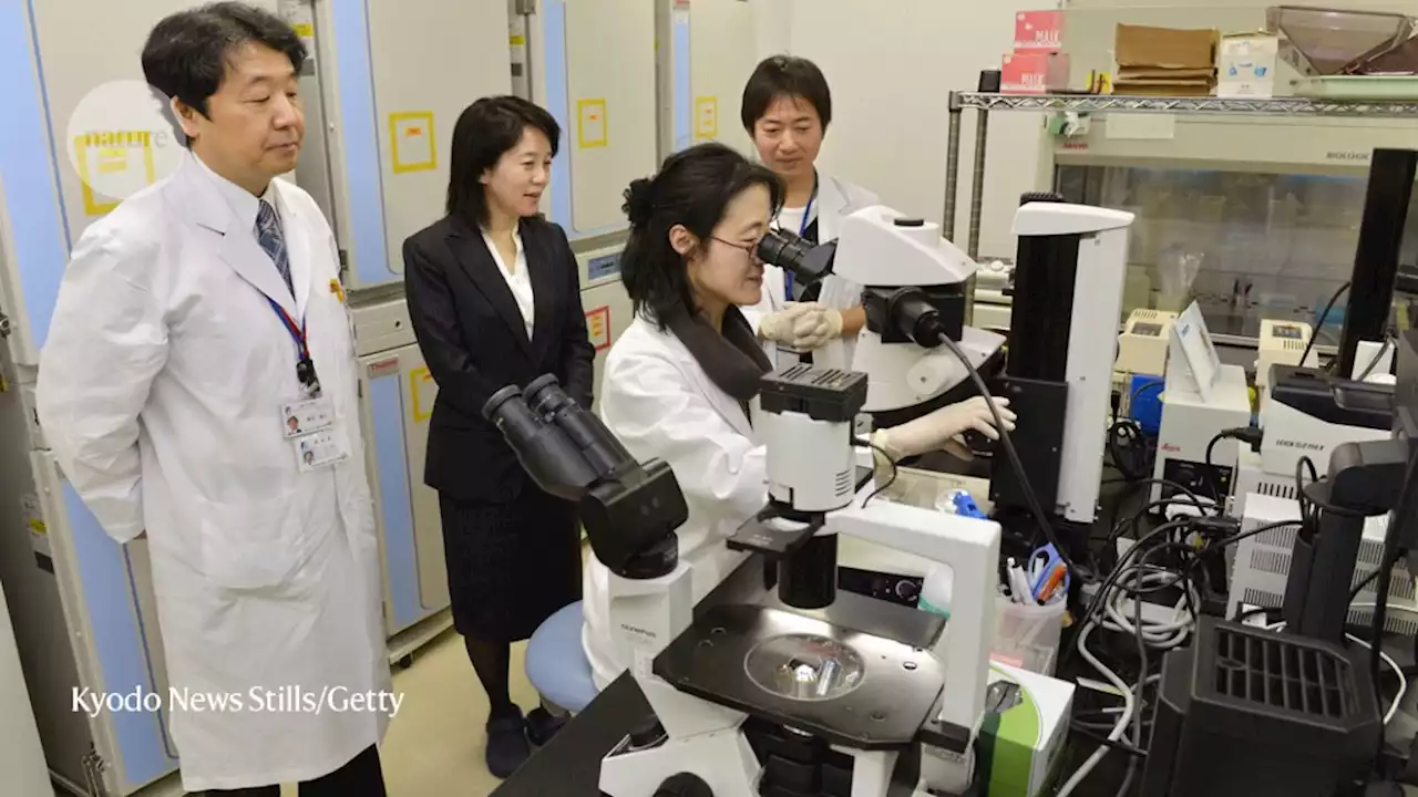 ‘I feel disposable’: Thousands of scientists’ jobs at risk in Japan