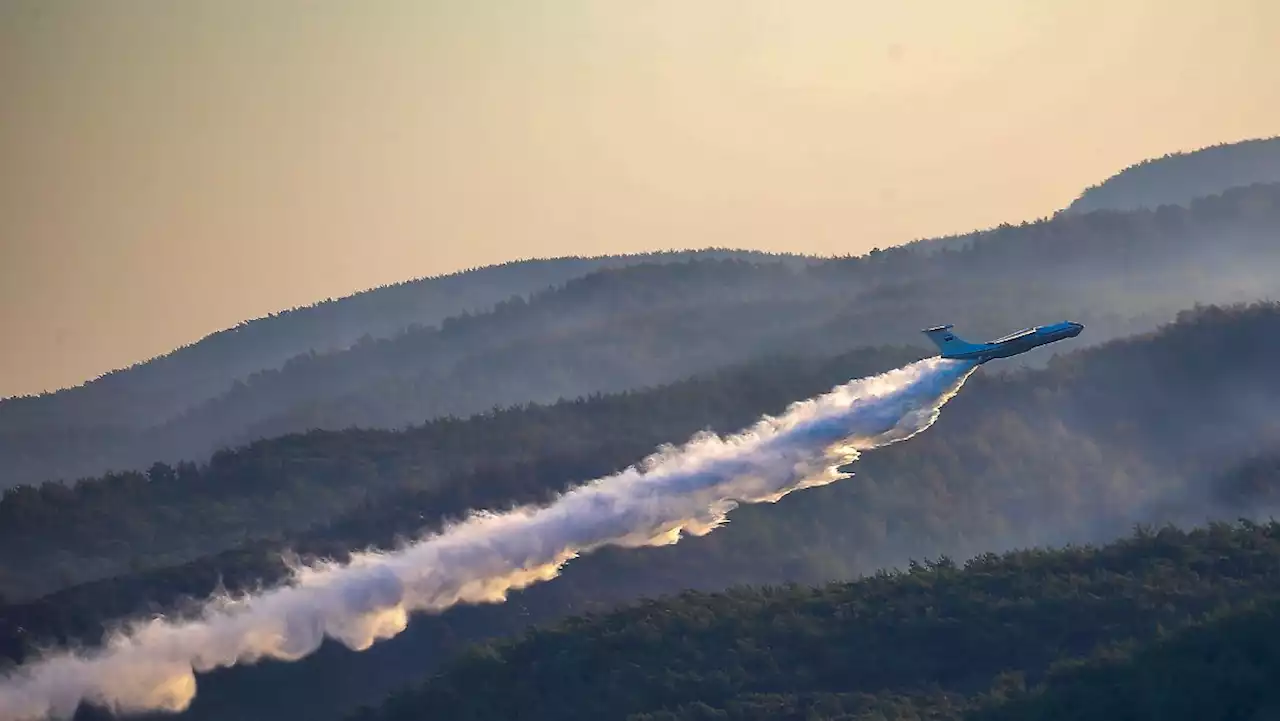 FDP fordert Anschaffung von Löschflugzeugen