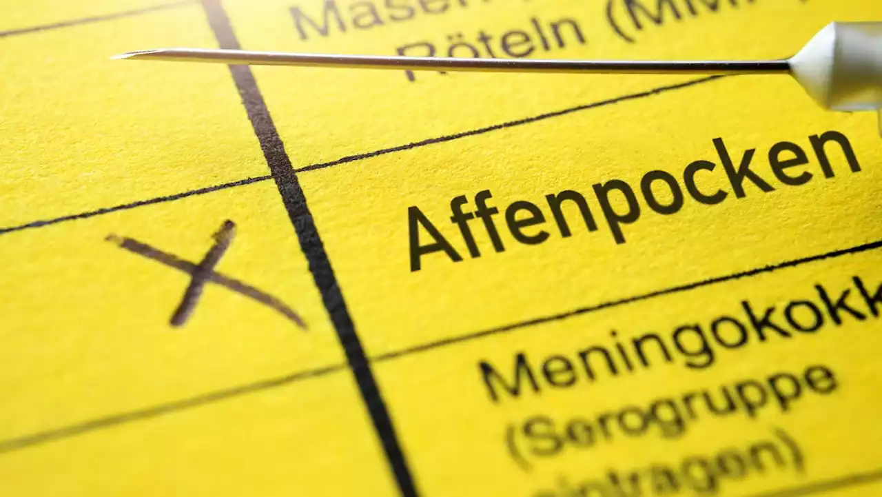 WHO ruft wegen Affenpocken weltweiten Gesundheitsnotstand aus