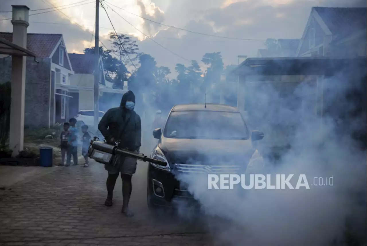 Anak yang Meninggal Akibat DBD di Bandung Bertambah Jadi 7 Orang |Republika Online