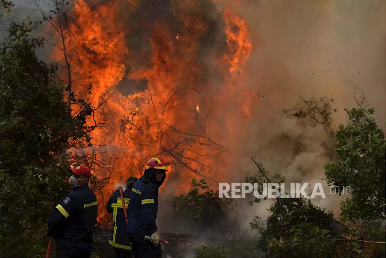 Yunani Berjuang Hadapi Empat Kebakaran Hutan |Republika Online