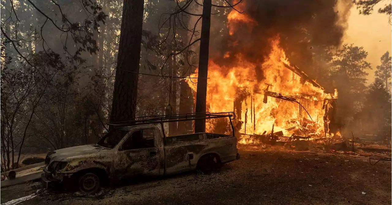 Thousands evacuated as California's Oak Fire grows quickly