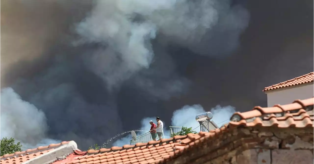 Wildfires burn coastal homes, forests in Greece as Europe's heatwave spreads east